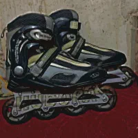 اسکیت حرفه ای