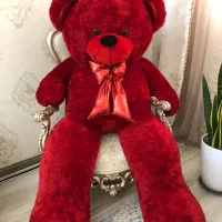 تدی خارجی|اسباب‌‌بازی|اردبیل, |دیوار