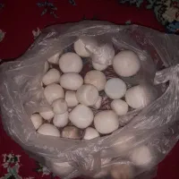 سنگ الماس آسیاب|کلکسیون اشیاء عتیقه|فلاورجان, |دیوار