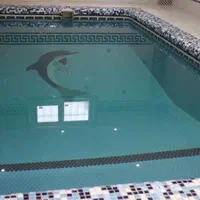 گروه استخر سازان شمال