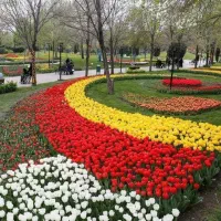 طراحی ، اجرا و نگهداری فضای سبز گلکاری نهال کاری