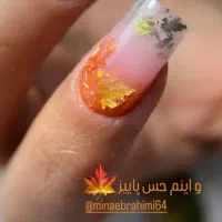 مدل  جهت کاشت و ترمیم ناخن