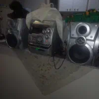 مجسمه اسب|مجسمه، تندیس، ماکت|تبریز, |دیوار