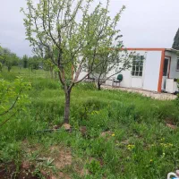 باغ-نیاوران-جاده-تهران