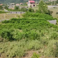 330 متر زمین در سوادکوه روستای کارمزد باویوی عالی|فروش زمین و ملک کلنگی|آلاشت, |دیوار