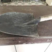 بیل امریکایی