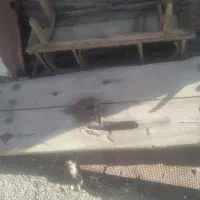 درب چوبی قدیم
