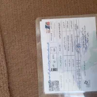 پیکان وانت دوگانه