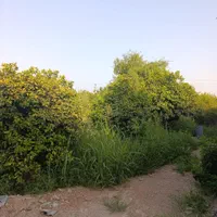 فروش باغچه/برق آب تصفیه/رو ب رو ترمینال|فروش دفتر صنعتی، کشاورزی، تجاری|دزفول, |دیوار