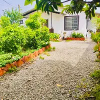 فروش-فوری-مالک-عجله-دارد-خانه-قدیمی260متری