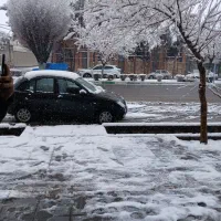 تیبا ۲ مدل ۴۰۱|خودرو سواری و وانت|سبزوار, ولیعصر (نجار آباد)|دیوار