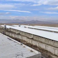 مرغداری-مادرگوشتی-47500-قطعه-ای