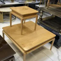 جلومبلی و میز عسلی میز تلویزیون