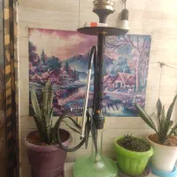 قلیون عربی اصل معاوضه با کتونی گوشی و ..|کوهنوردی و کمپینگ|قرچک, زیبا شهر|دیوار