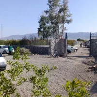 فروش باغ اناری نقلی  سرسبز و بارده