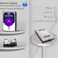 هارد 1 ترابایت بنفش