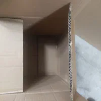 کارتن