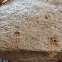 آرد سفید ماند برف