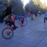 دوچرخه گم شده