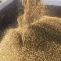 برنج نو  کامفیروزی|خوردنی و آشامیدنی|شیراز, شهرک رضوان|دیوار