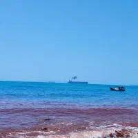 نیازمند همسفر