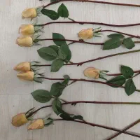 شاخه گل های  زرد