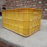 سبد۲۰کیلویی