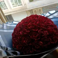 رز ربانی|گل مصنوعی|نسیم‌شهر, |دیوار