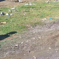 اسب فروشی  ۳۵ با زین دهنه