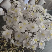 گل بهاری|گل و گیاه طبیعی|اسلام‌شهر, شهرک واوان|دیوار