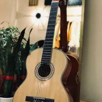 گیتار پیکاپ دار . پترا