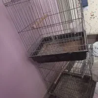 قفس کاسکویی اورال|لوازم جانبی حیوانات|تهران, جوادیه|دیوار