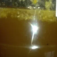 عسل کوهی (کنار)
