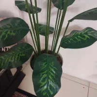 گلدان مصنوعی بزرگ خارجی|گل مصنوعی|خرمآباد, |دیوار