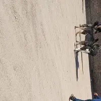 سگ سراب ذات قدیم|سگ|خمین, |دیوار