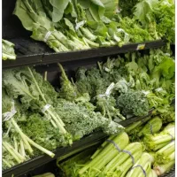 سفارش غذا ایرانی و فرنگی /فینگر فود /سالاد