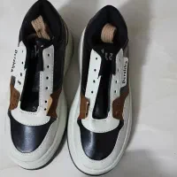 کفش|کیف، کفش، کمربند|بیرجند, |دیوار