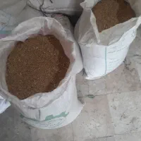 گندم آبی|عمده‌فروشی|مشهد, کارگران|دیوار