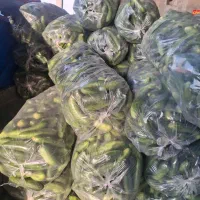 خیار ۹