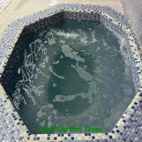 کد ۰۸۹ ، استخر جکوزی بیلیارد ، تیم رنت گاردن|اجارهٔ کوتاه‌مدت ویلا و باغ|شیراز, گویم|دیوار