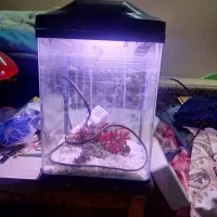 اکواریوم اگوا