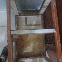 قفس کبوتر|لوازم جانبی حیوانات|اردبیل, |دیوار