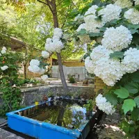 فروش منزل ویلایی دربست در مرکز شهرخوانسار