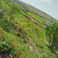زمین آبی امین الله با استخر و لوله کشی .