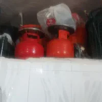 دو عدد پیکنیک سالم دونه ای ۵۰۰