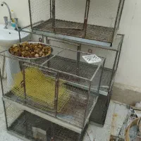 قفس کبوتر جفتی