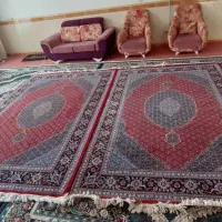 قالی ریز ماهی