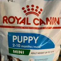 کیتن رویال کنین،پامر رویال و پاپی