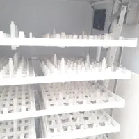 دستگاه جوجه کشی فاخته ۱۰۰۸ تایی