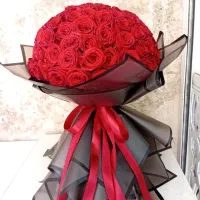 رز هلندی ۲۰شاخه ۱۶۰۰